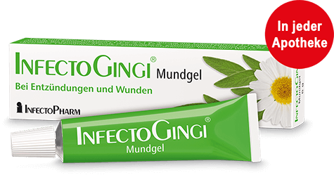 InfectoGingi Mundgel - Bei Entzündungen und Wunden